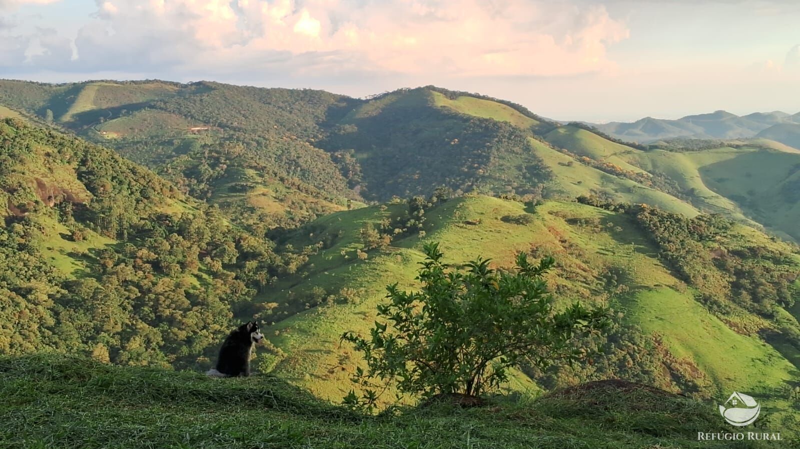 Terreno à venda, 30000m² - Foto 5