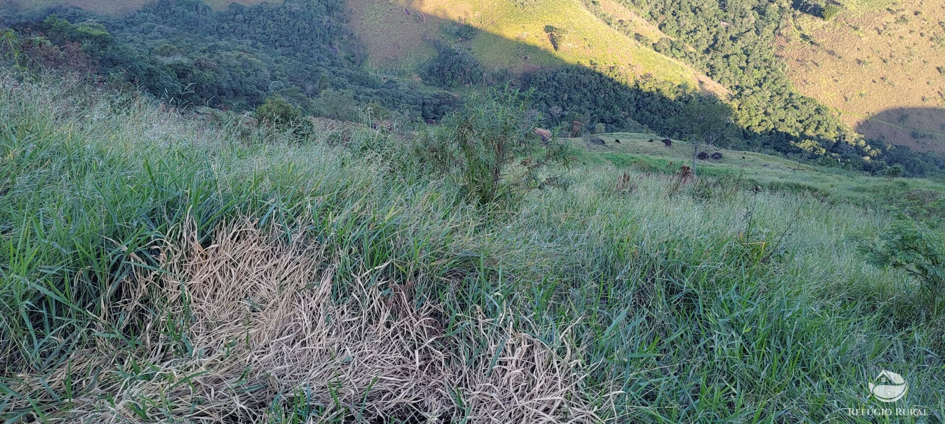 Terreno à venda, 30000m² - Foto 20