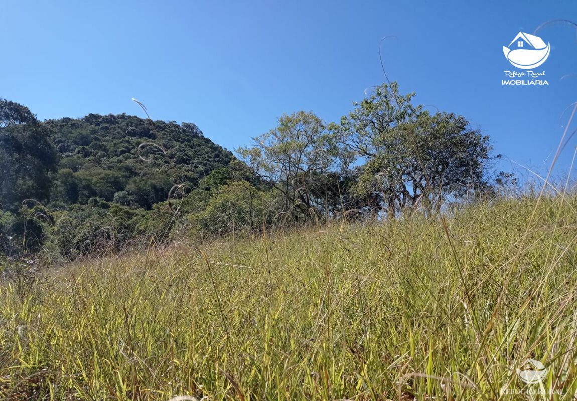 Terreno à venda, 20000m² - Foto 4