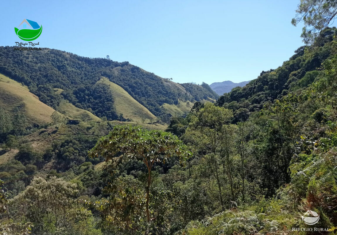 Terreno à venda, 20000m² - Foto 5