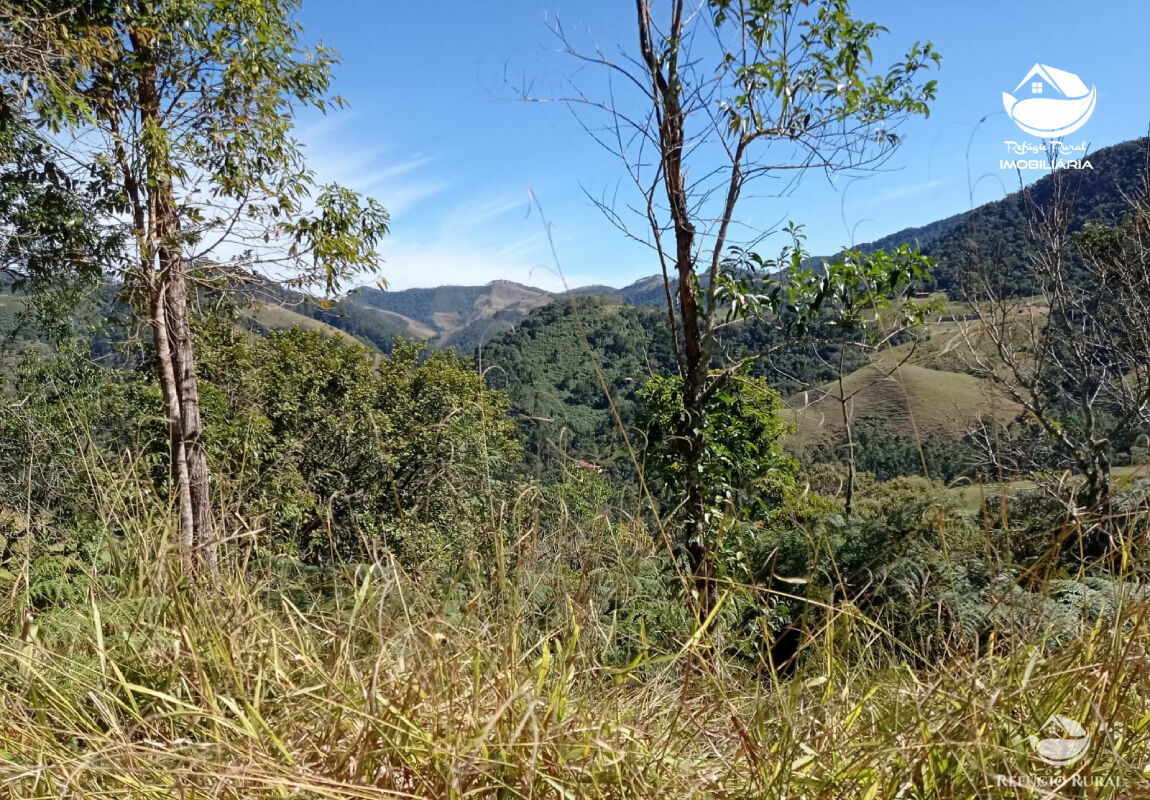 Terreno à venda, 20000m² - Foto 6