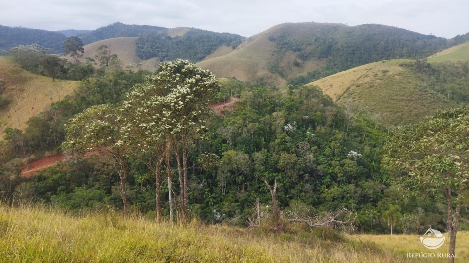 Terreno à venda, 48400m² - Foto 20