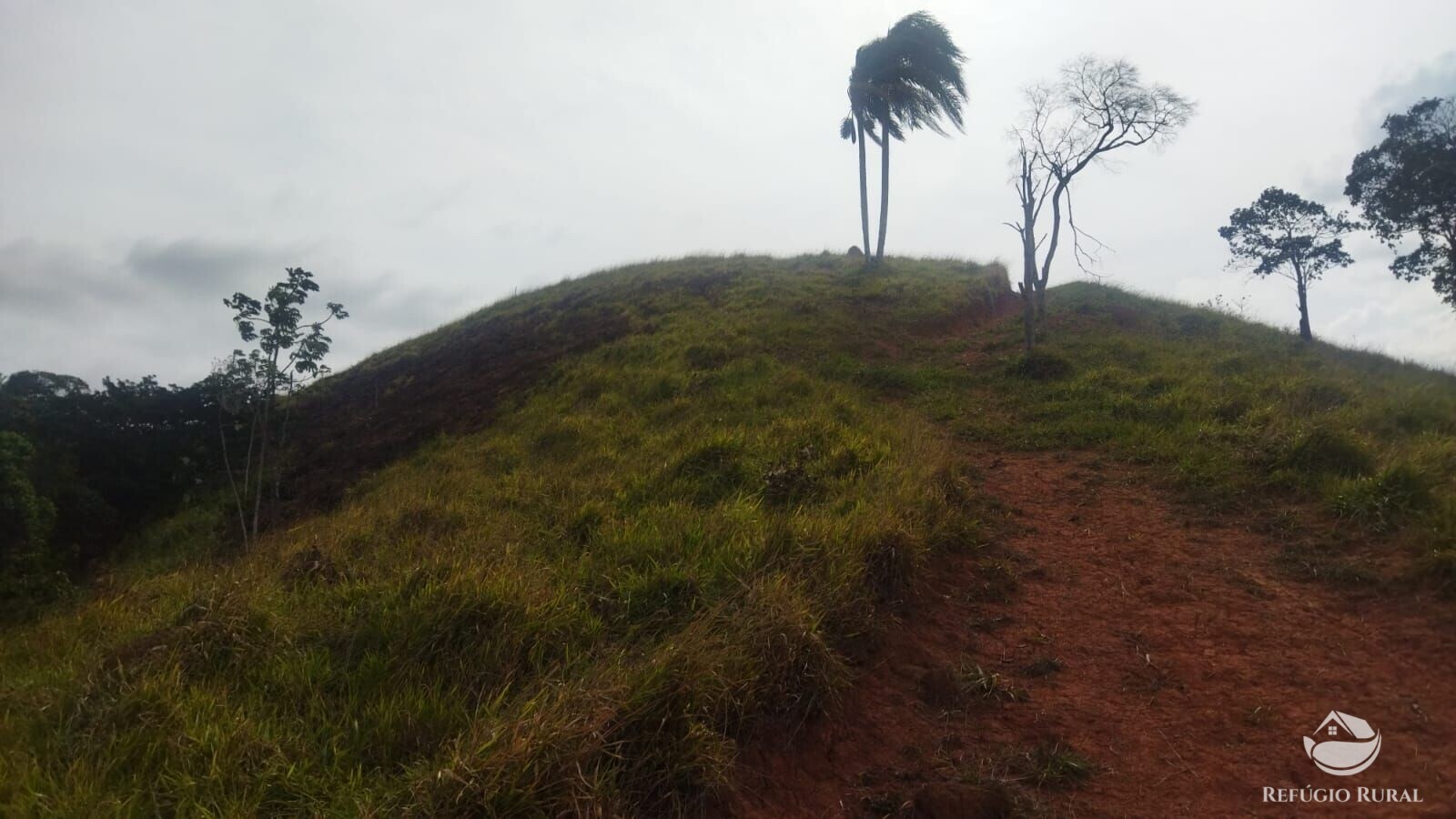 Terreno à venda, 48400m² - Foto 16