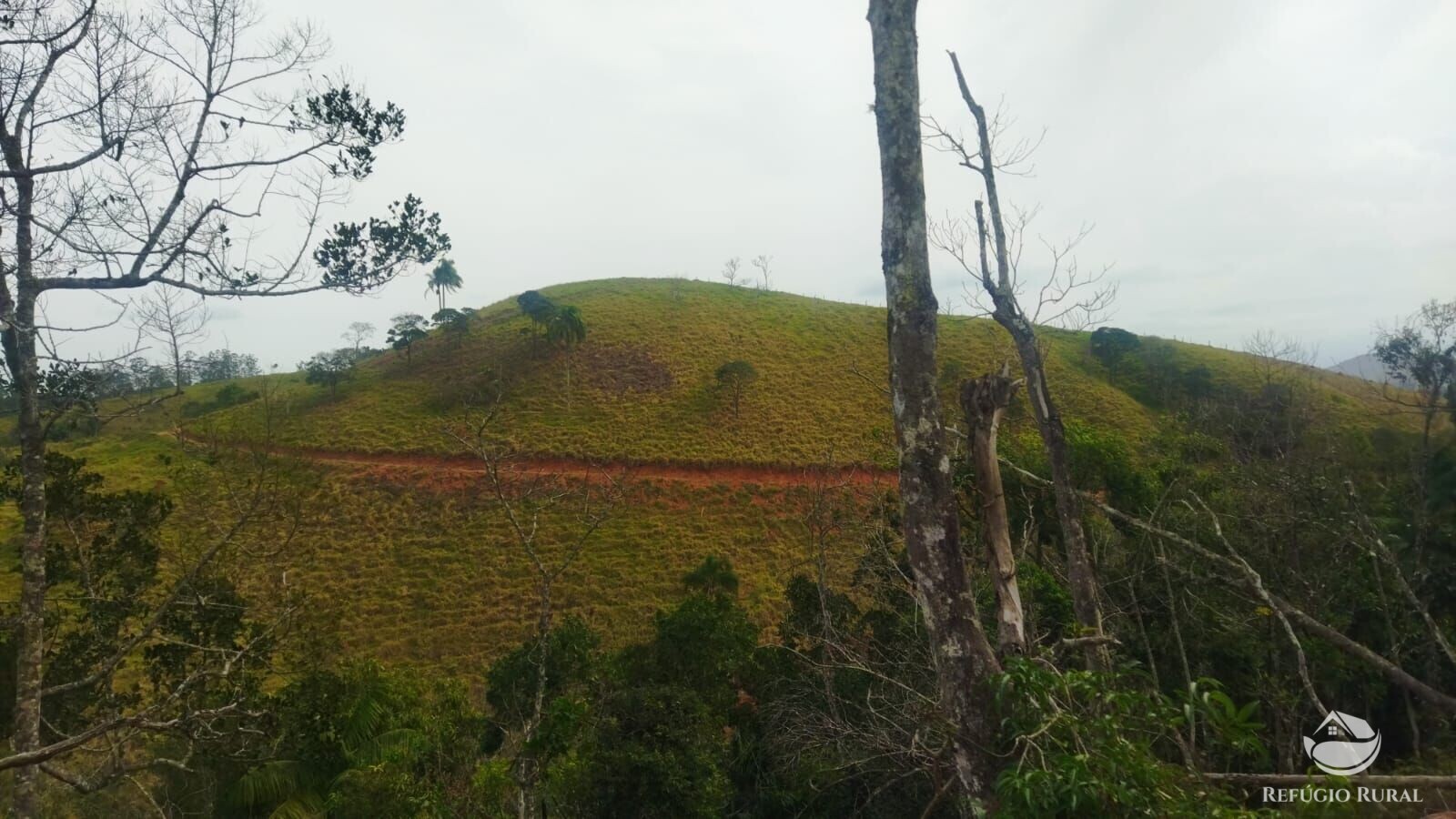 Terreno à venda, 48400m² - Foto 24