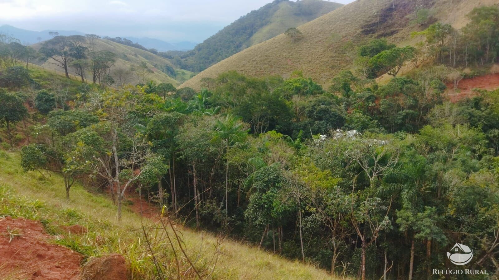 Terreno à venda, 48400m² - Foto 35