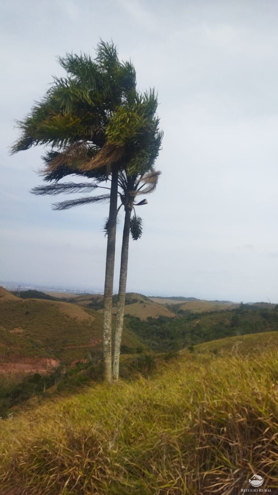 Terreno à venda, 48400m² - Foto 3