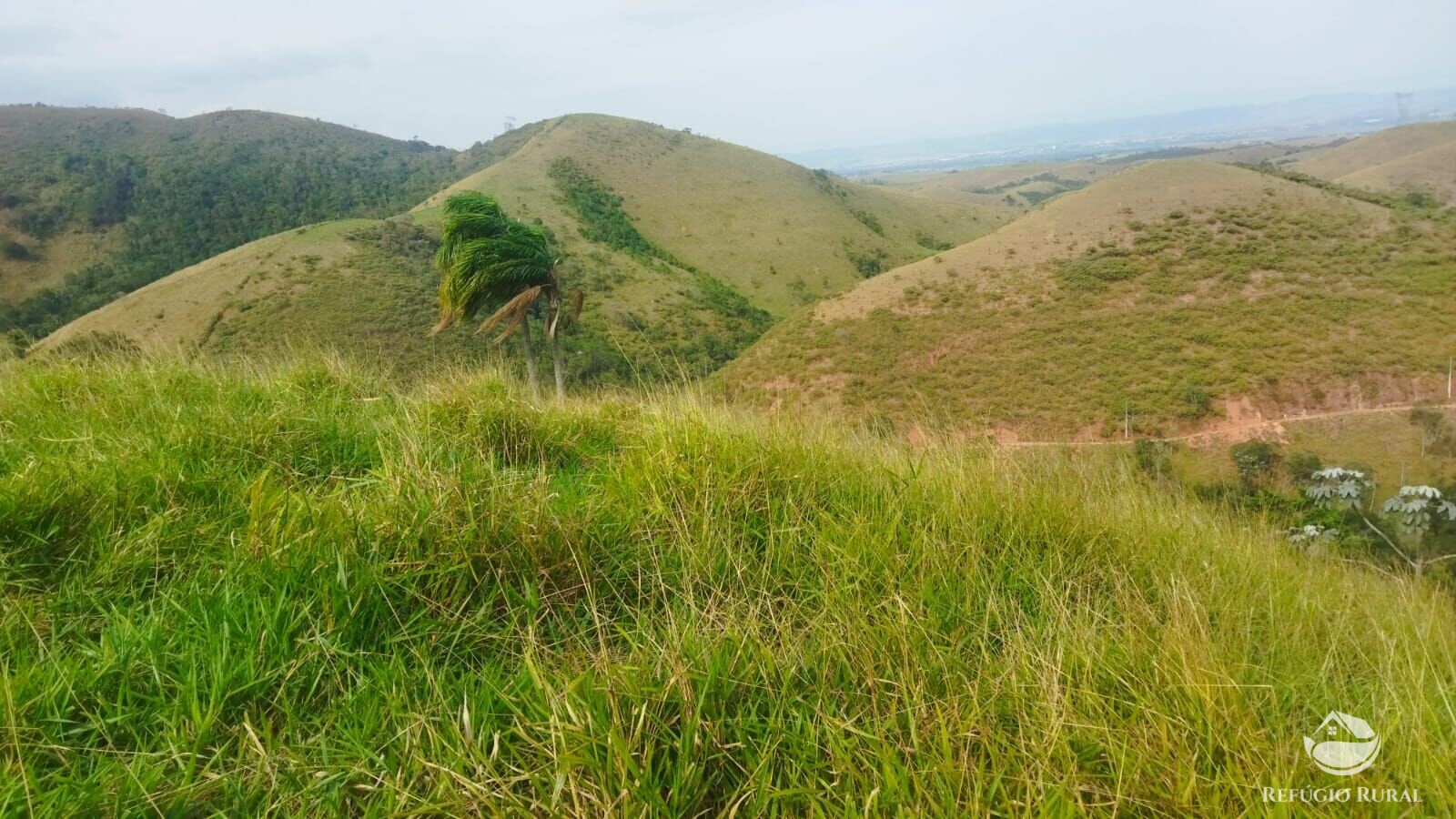 Terreno à venda, 48400m² - Foto 37