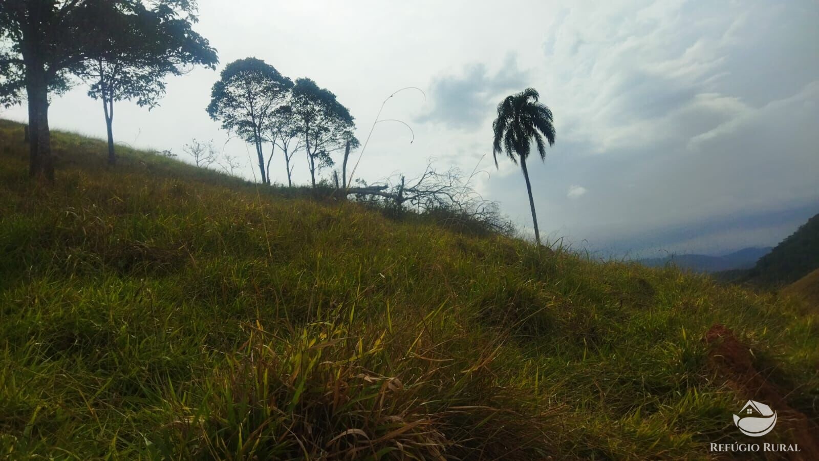 Terreno à venda, 48400m² - Foto 42