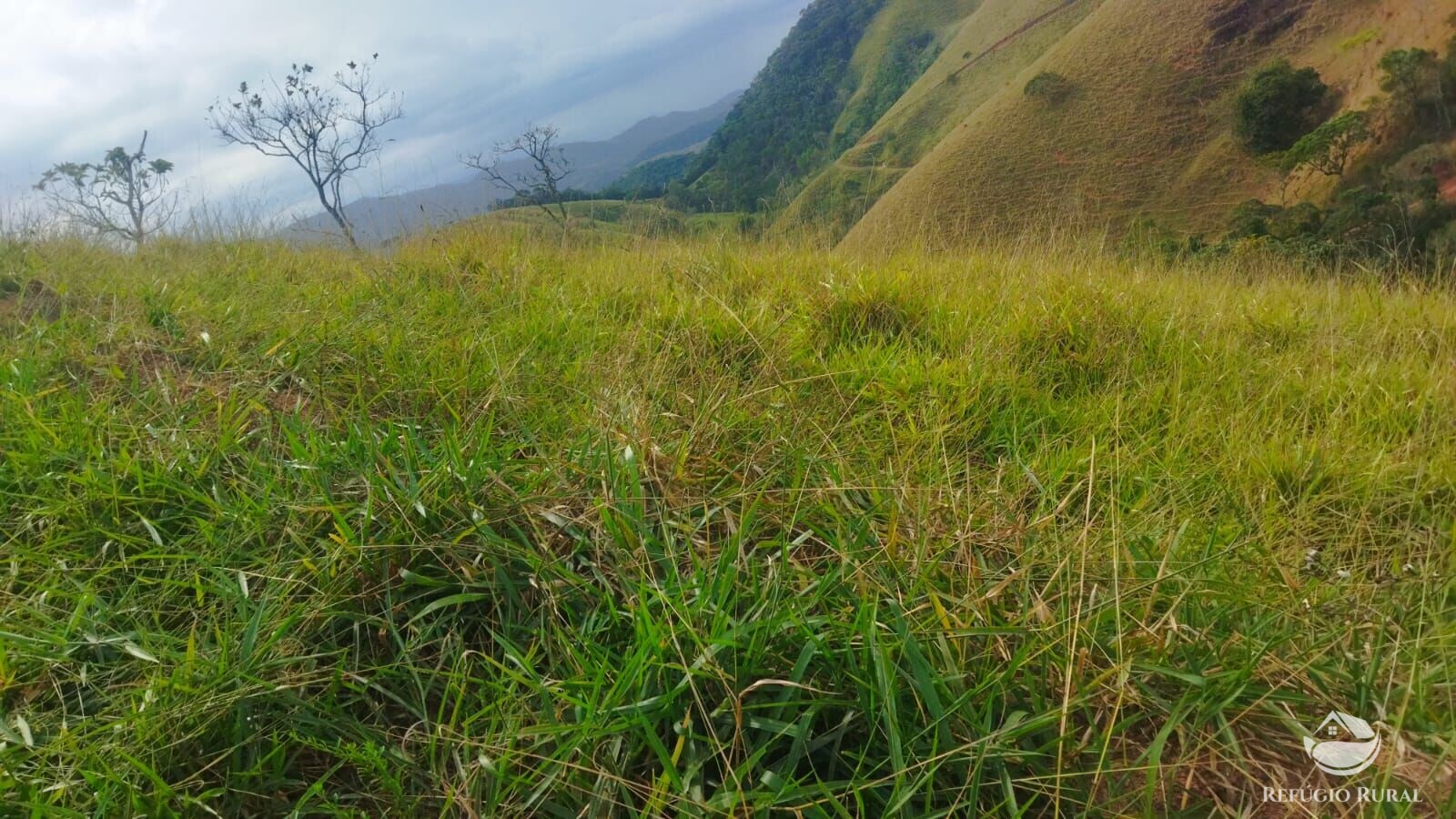 Terreno à venda, 48400m² - Foto 18