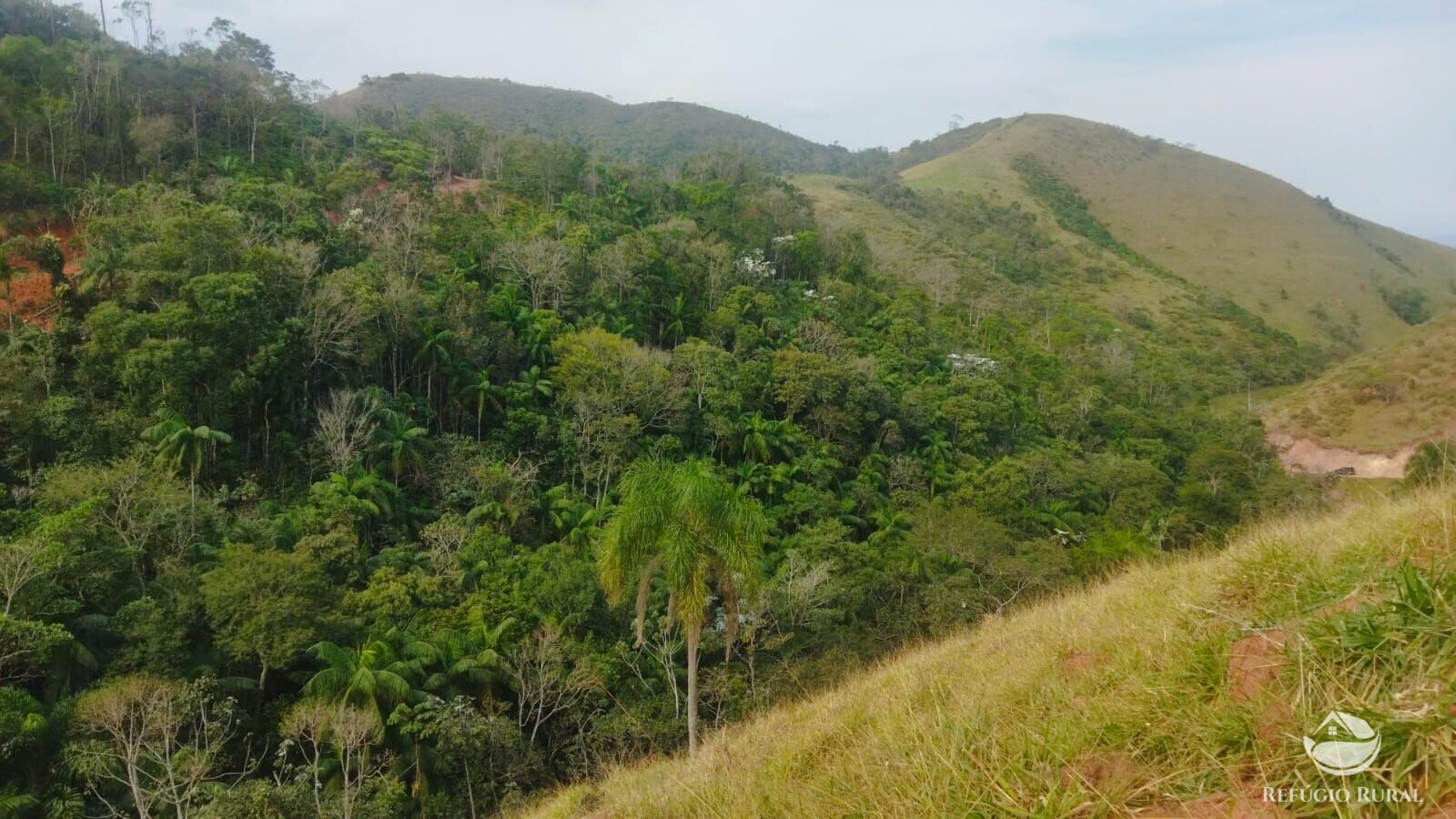 Terreno à venda, 48400m² - Foto 1