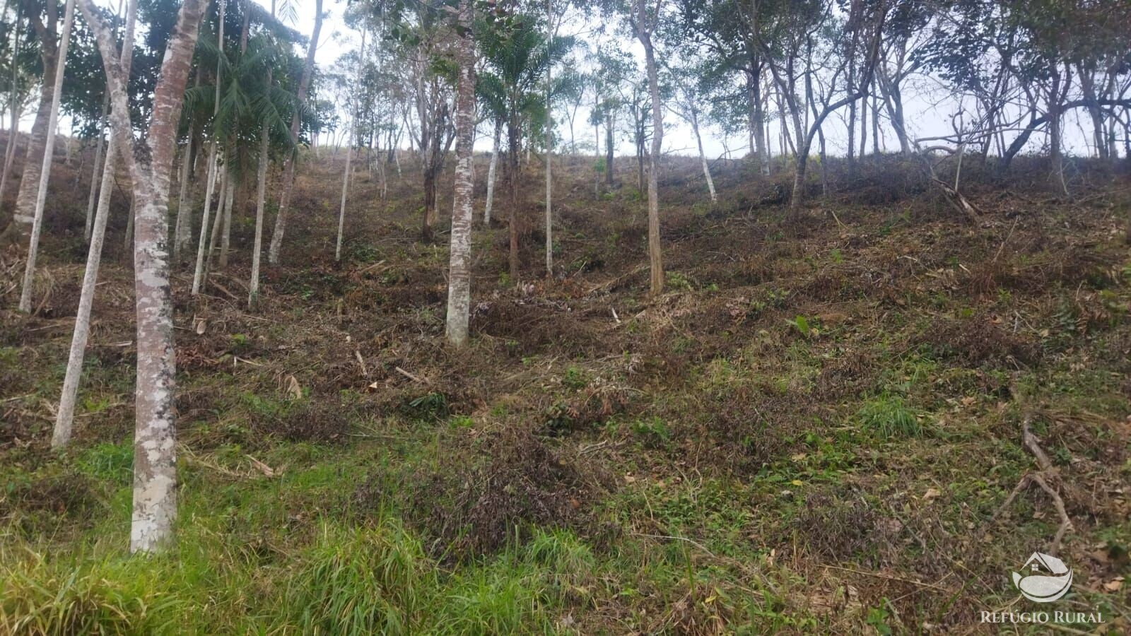 Terreno à venda, 48400m² - Foto 7