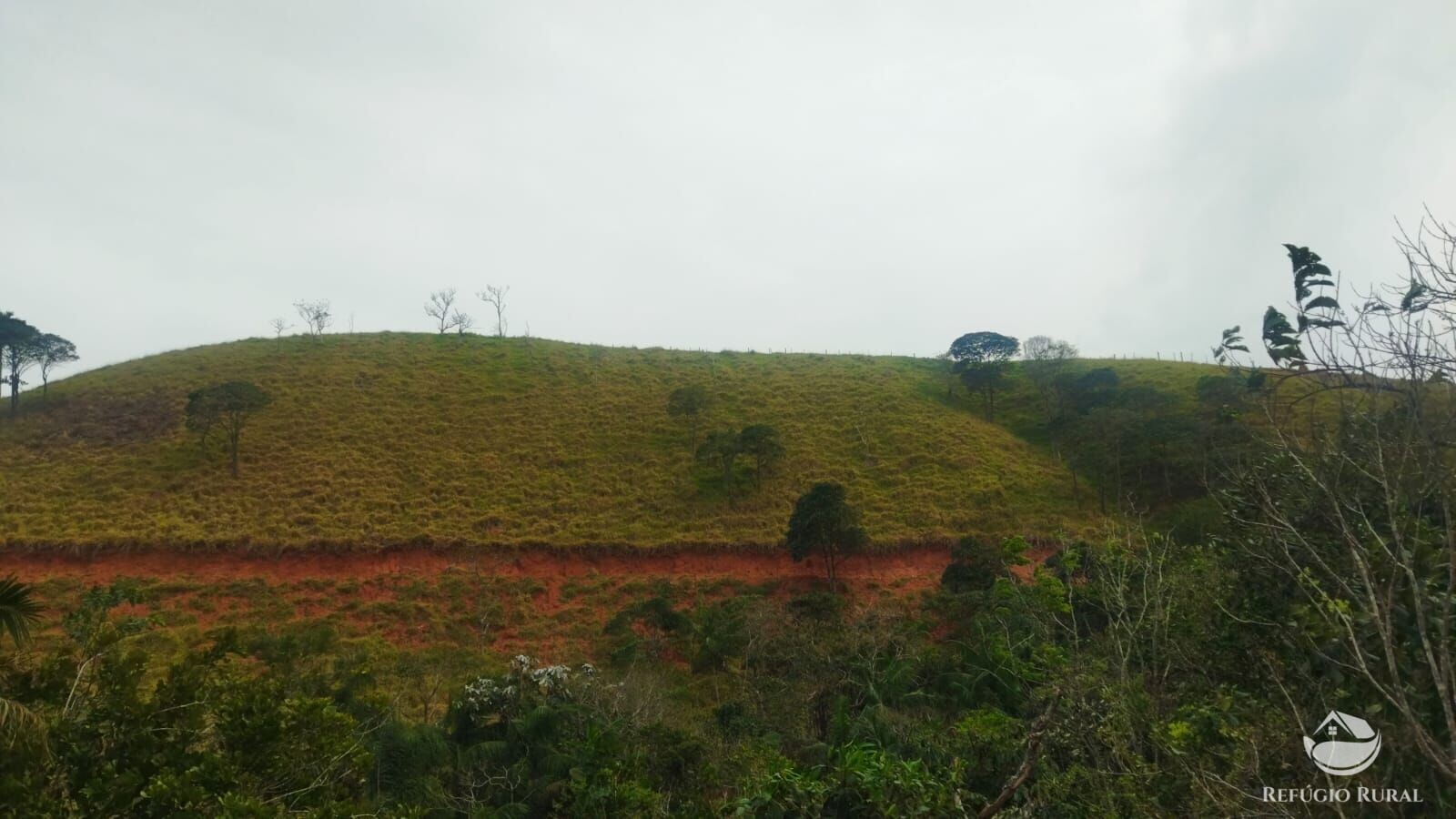 Terreno à venda, 48400m² - Foto 22