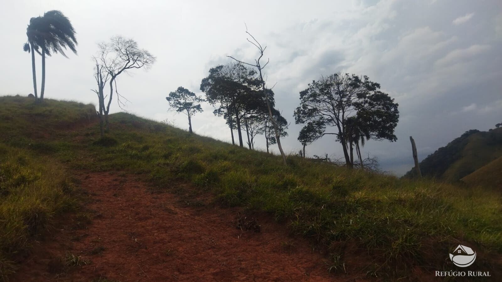 Terreno à venda, 48400m² - Foto 2