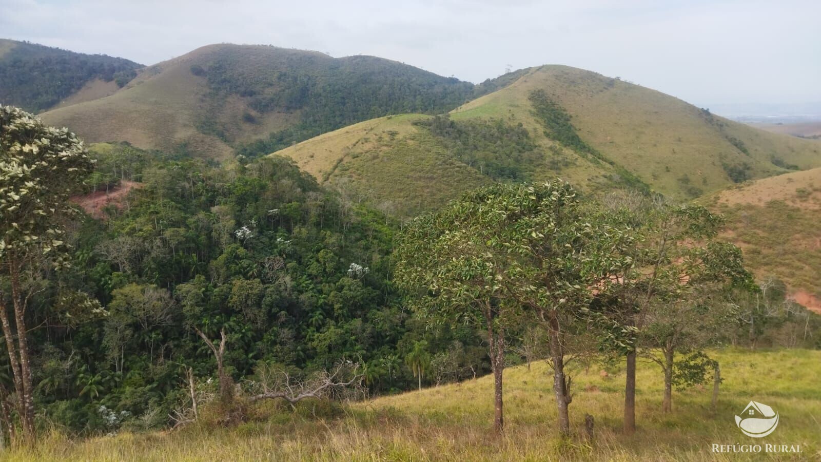 Terreno à venda, 48400m² - Foto 21