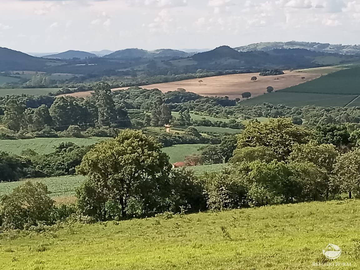 Sítio, 3 quartos, 13 hectares - Foto 6