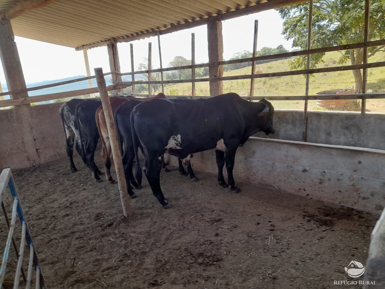 Sítio, 3 quartos, 13 hectares - Foto 37