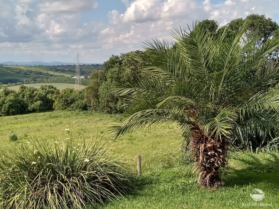 Sítio, 3 quartos, 13 hectares - Foto 8