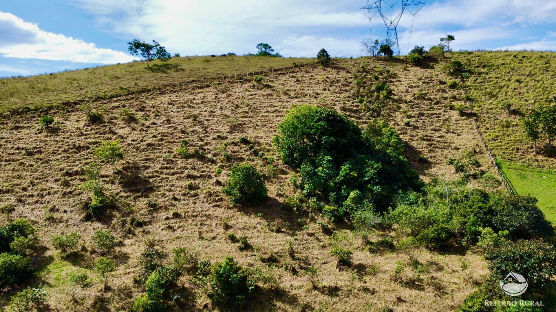 Chácara, 2 quartos, 2 hectares - Foto 6