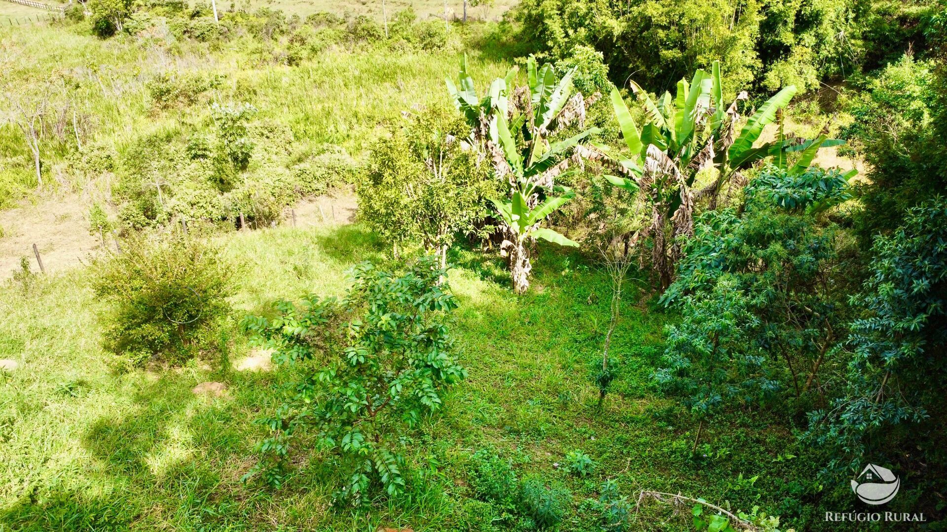 Chácara, 2 quartos, 2 hectares - Foto 18