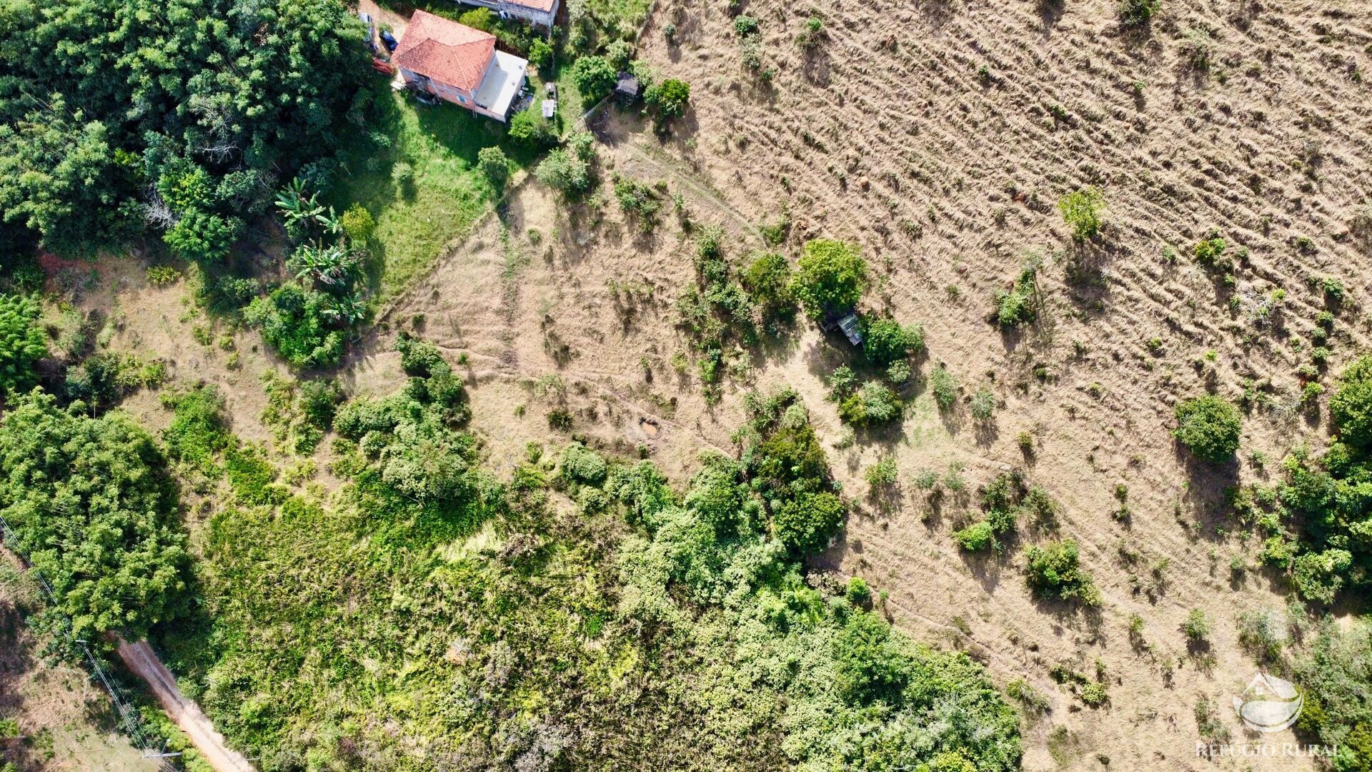 Chácara, 2 quartos, 2 hectares - Foto 7