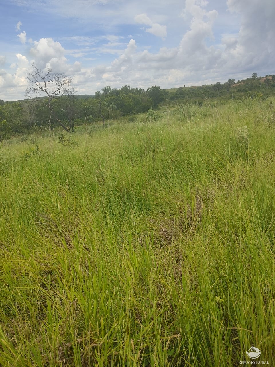 Fazenda à venda com 1 quarto, 12040000m² - Foto 13