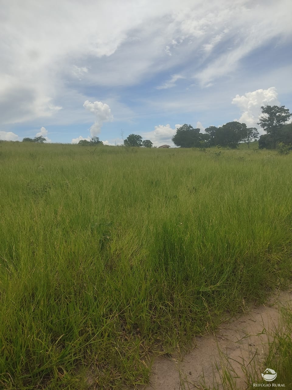 Fazenda à venda com 1 quarto, 12040000m² - Foto 10