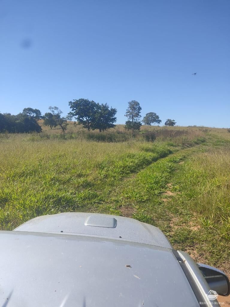 Fazenda à venda com 1 quarto, 12040000m² - Foto 20