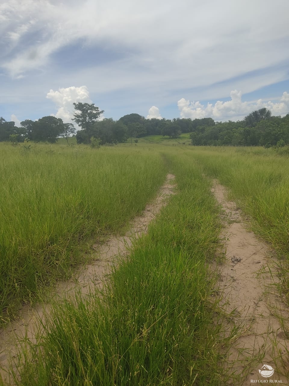 Fazenda à venda com 1 quarto, 12040000m² - Foto 11