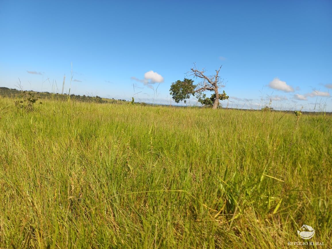 Fazenda à venda com 1 quarto, 12040000m² - Foto 19