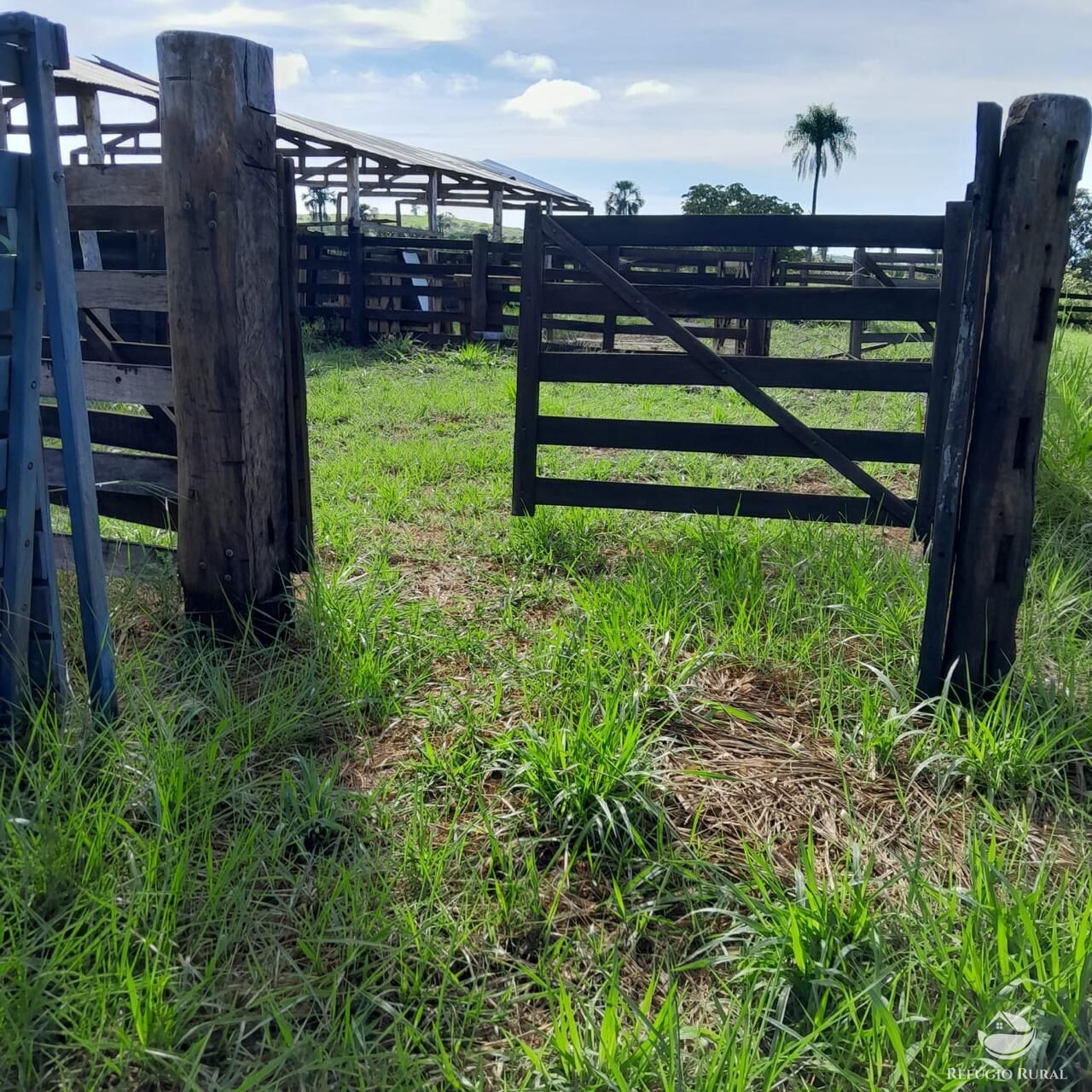 Fazenda à venda com 1 quarto, 12040000m² - Foto 7