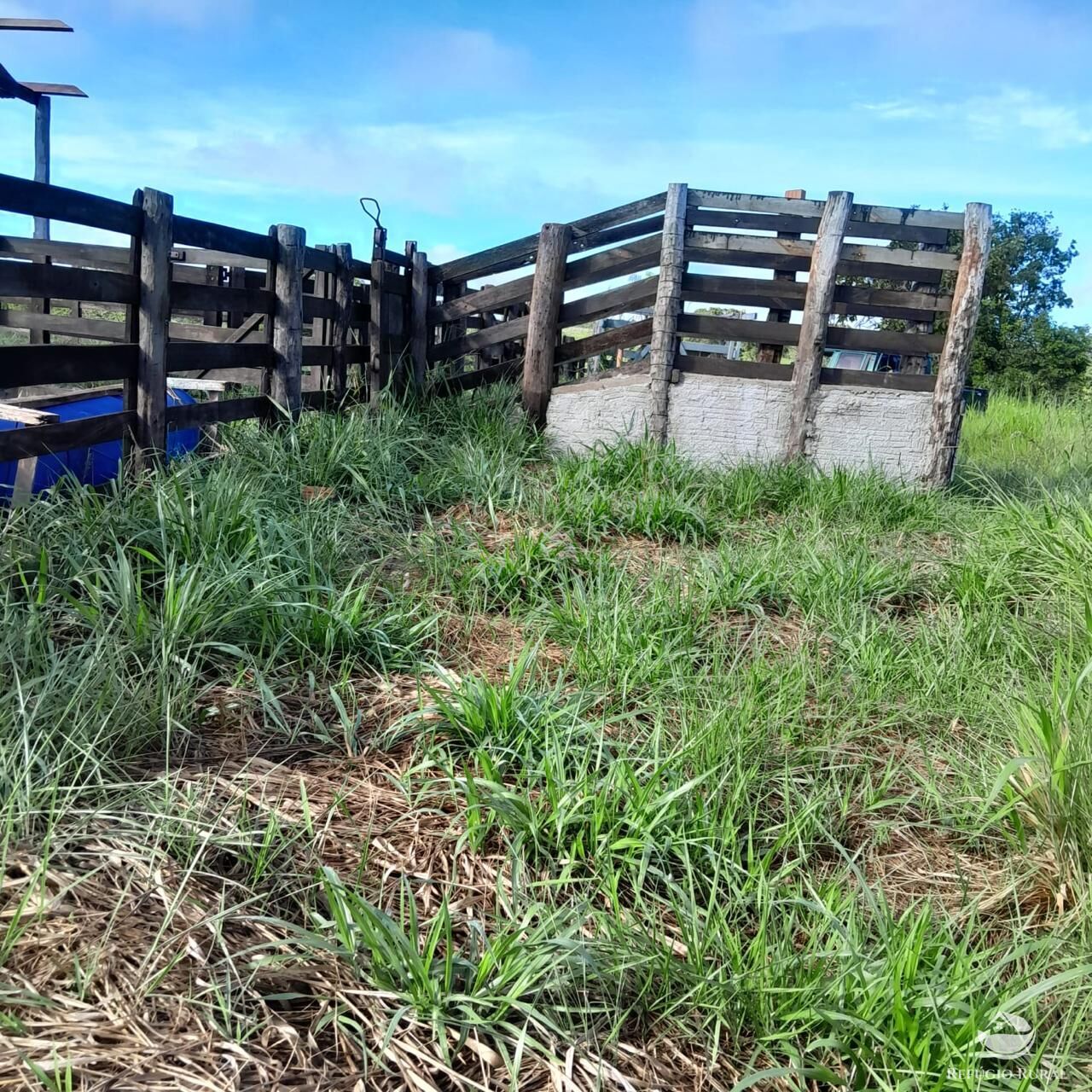 Fazenda à venda com 1 quarto, 12040000m² - Foto 16