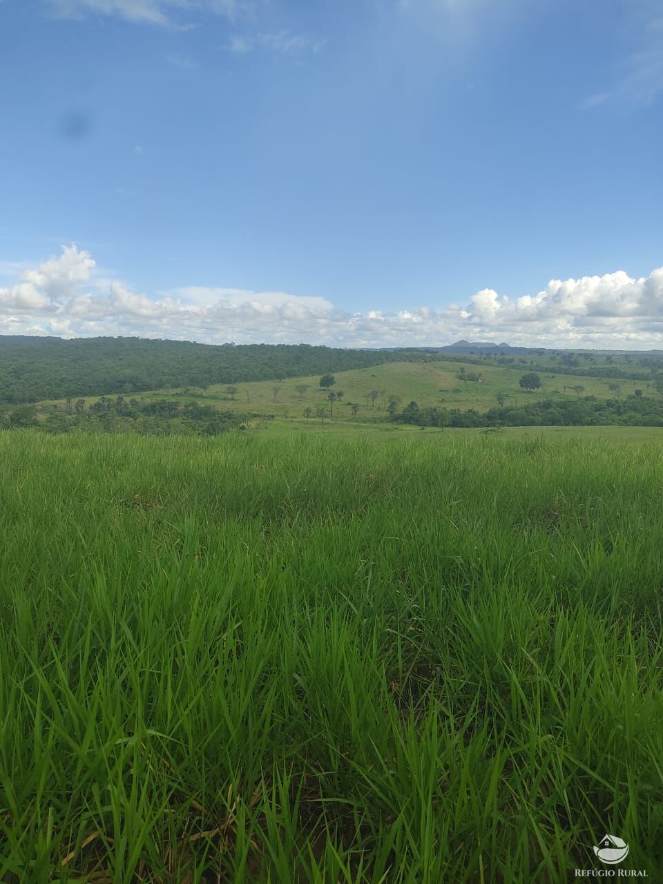 Fazenda à venda com 1 quarto, 12040000m² - Foto 2