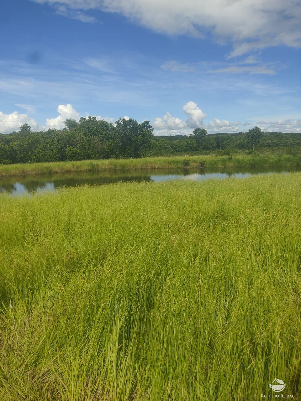 Fazenda à venda com 1 quarto, 12040000m² - Foto 1