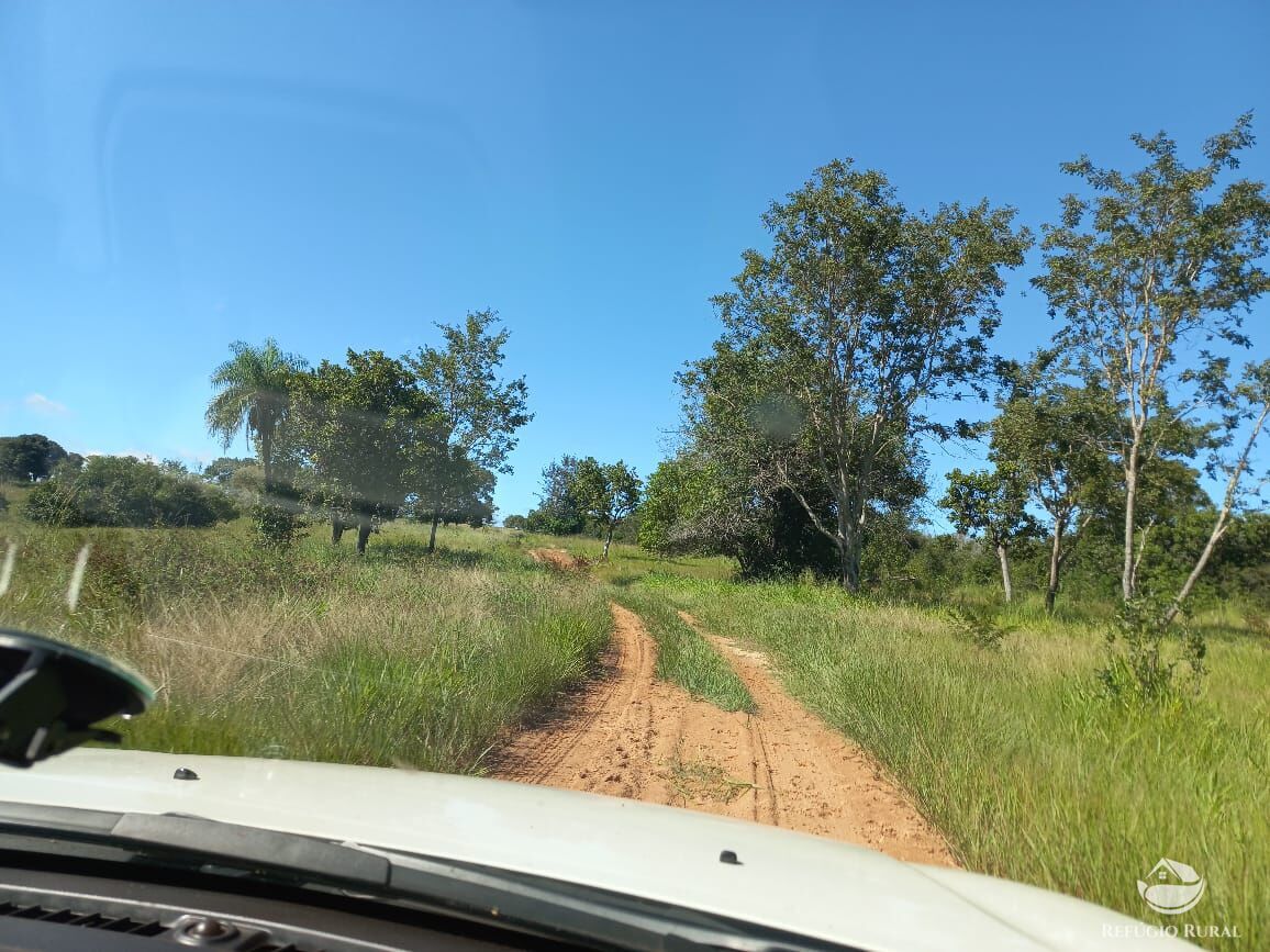 Fazenda à venda com 1 quarto, 12040000m² - Foto 18