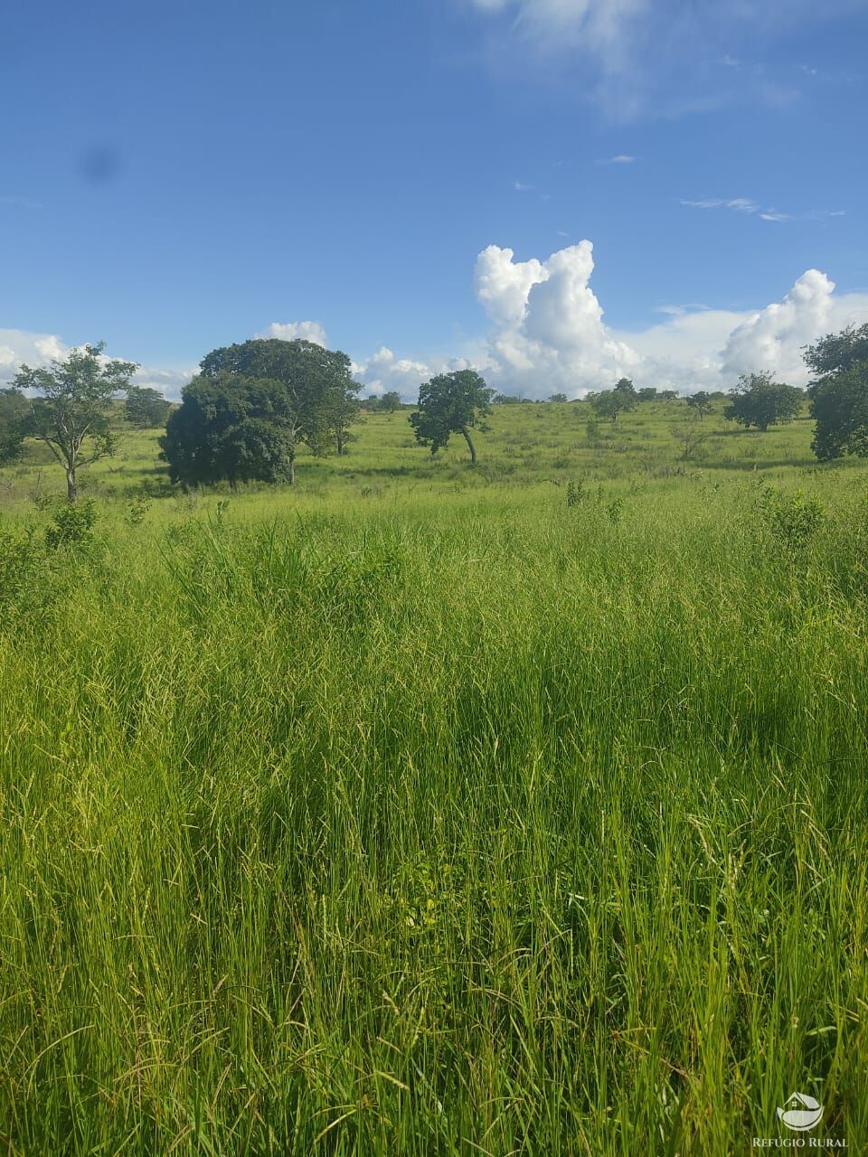 Fazenda à venda com 1 quarto, 12040000m² - Foto 3