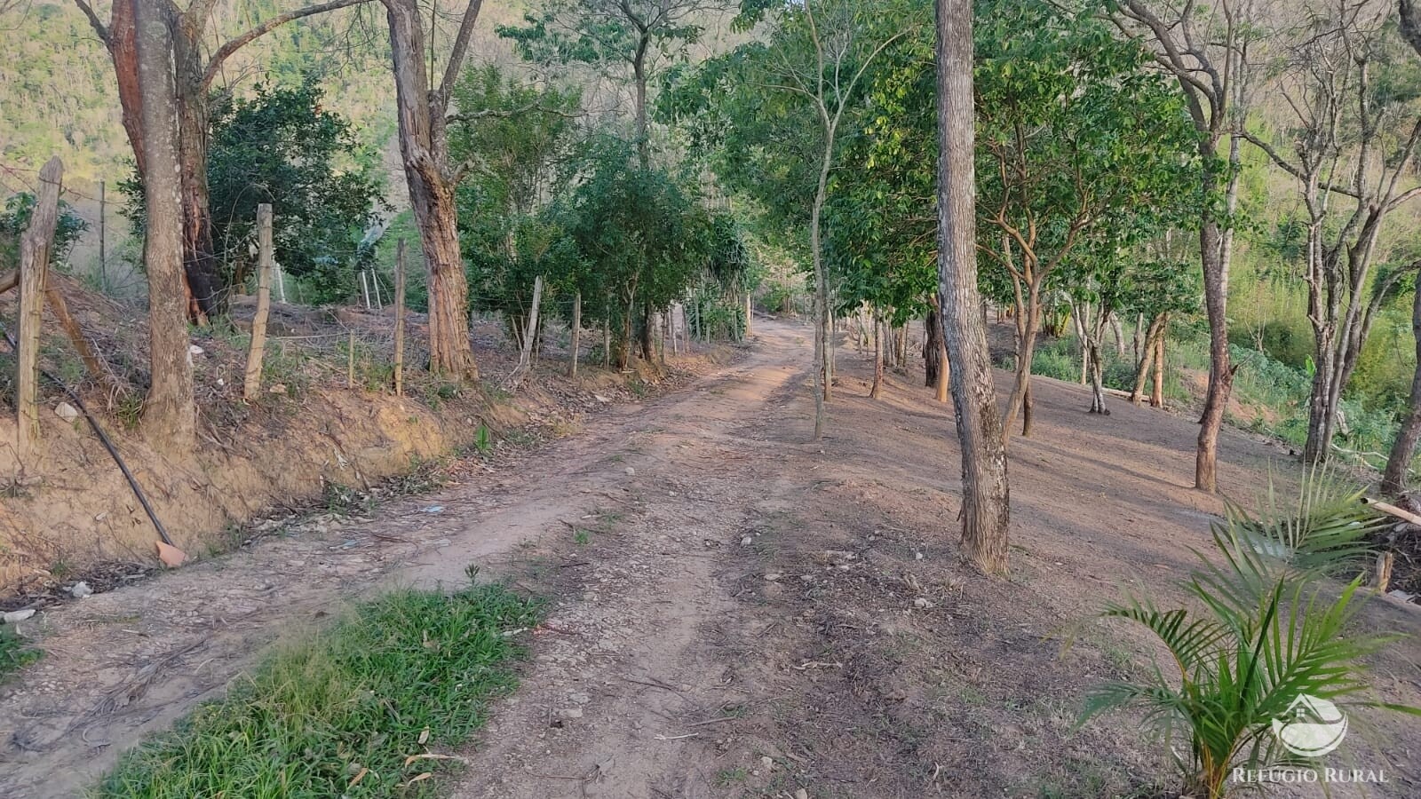 Fazenda à venda com 1 quarto, 10000m² - Foto 5