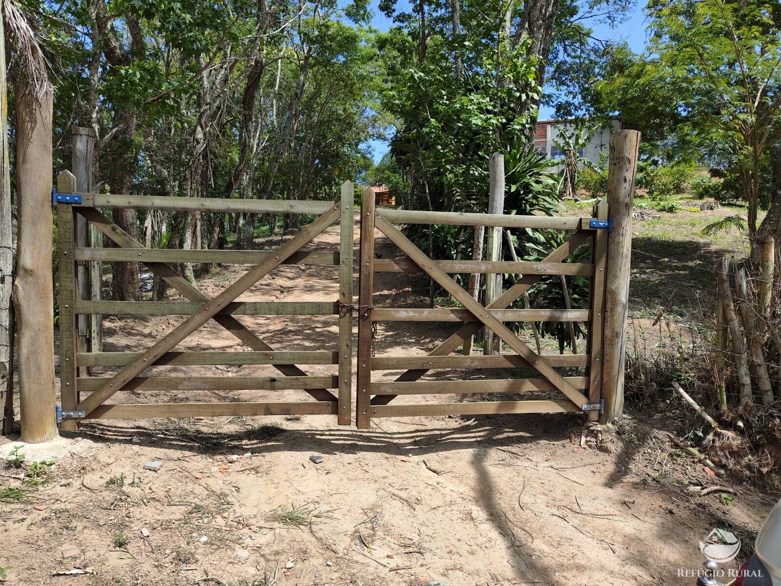 Fazenda à venda com 1 quarto, 10000m² - Foto 7