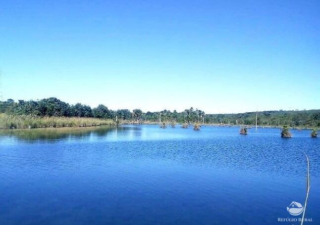 Fazenda à venda com 2 quartos, 20000000m² - Foto 1