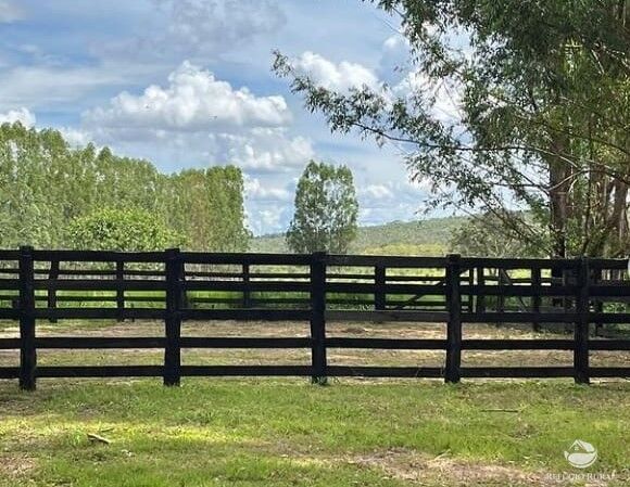 Fazenda à venda com 2 quartos, 20000000m² - Foto 5