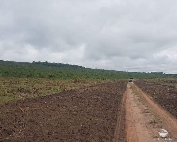 Fazenda à venda com 2 quartos, 20000000m² - Foto 10