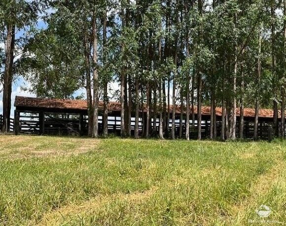 Fazenda à venda com 2 quartos, 20000000m² - Foto 4