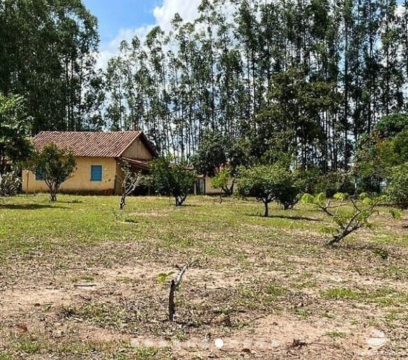 Fazenda à venda com 2 quartos, 20000000m² - Foto 7