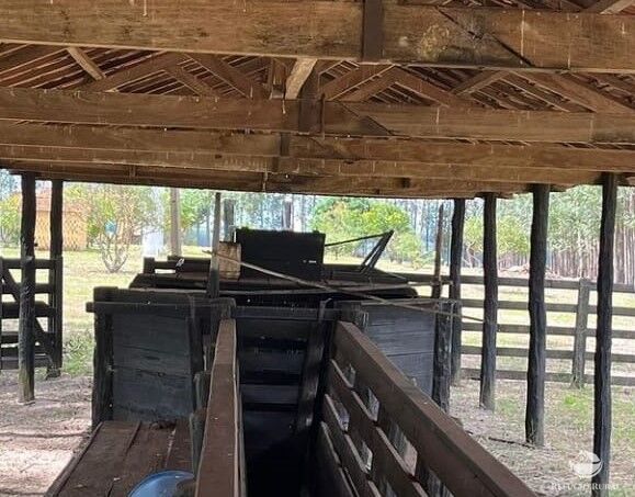 Fazenda à venda com 2 quartos, 20000000m² - Foto 8