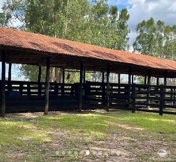 Fazenda à venda com 2 quartos, 20000000m² - Foto 6