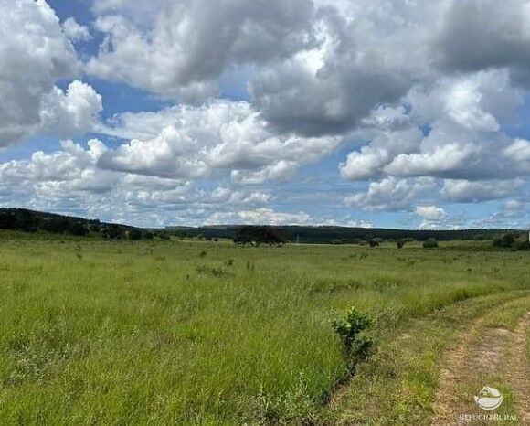 Fazenda à venda com 2 quartos, 20000000m² - Foto 9