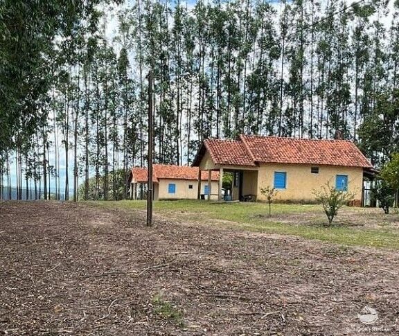 Fazenda à venda com 2 quartos, 20000000m² - Foto 2