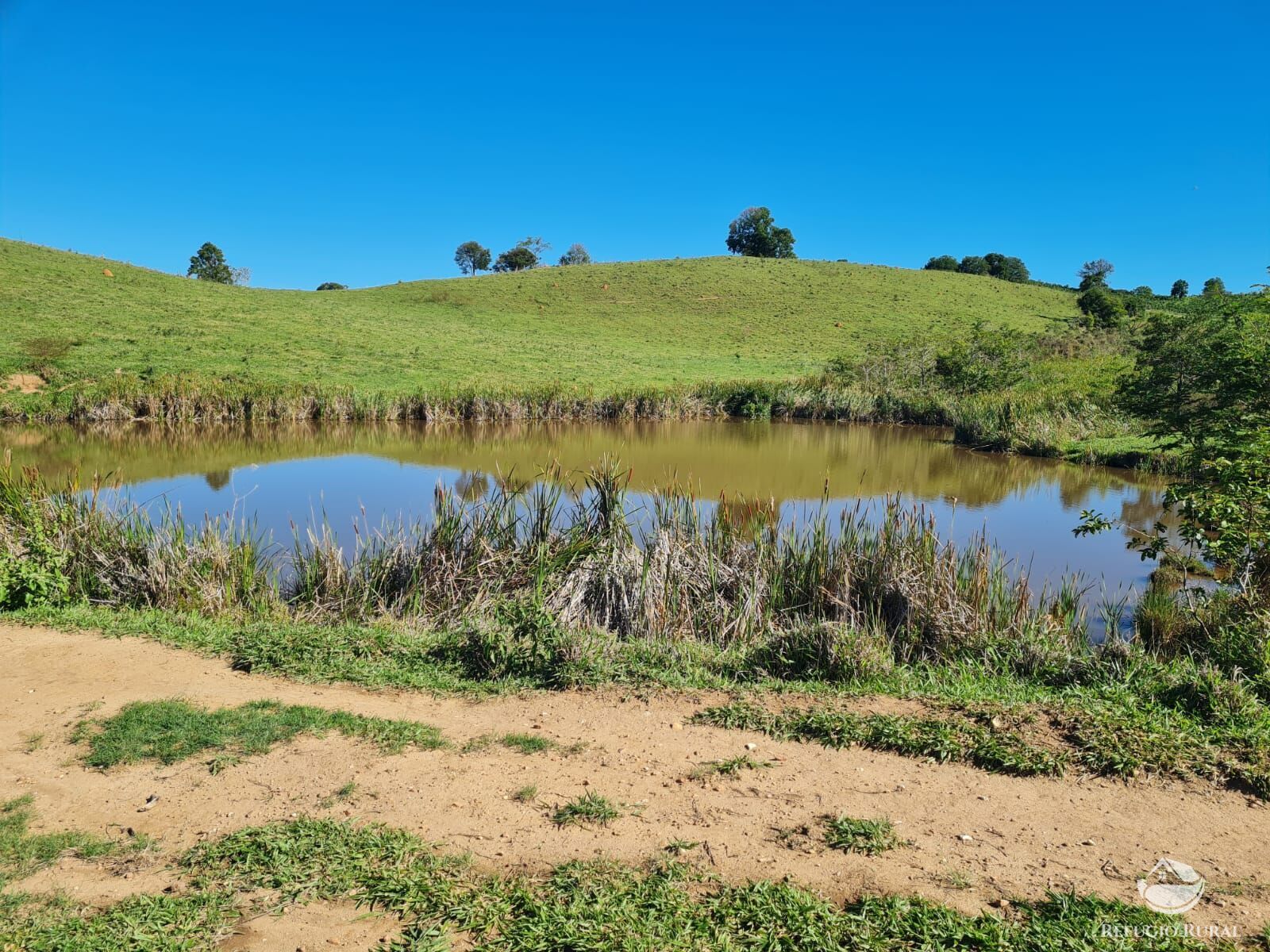 Fazenda, 822 hectares - Foto 5