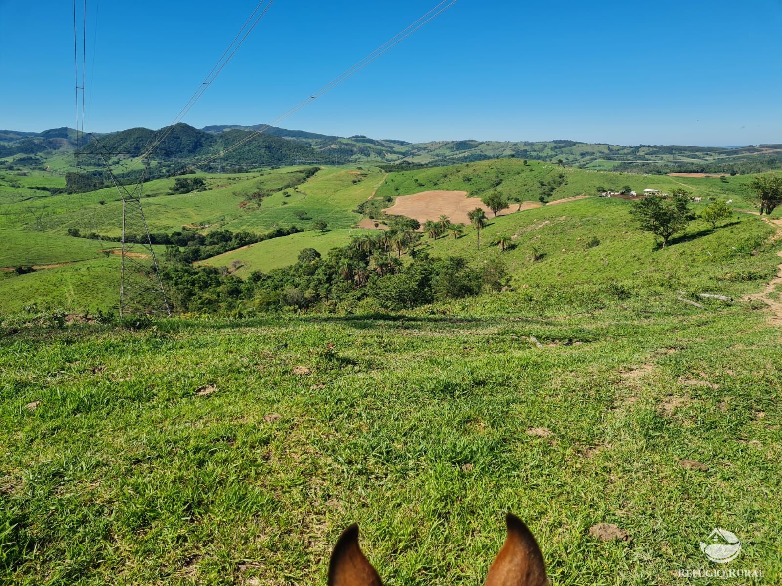 Fazenda, 822 hectares - Foto 24