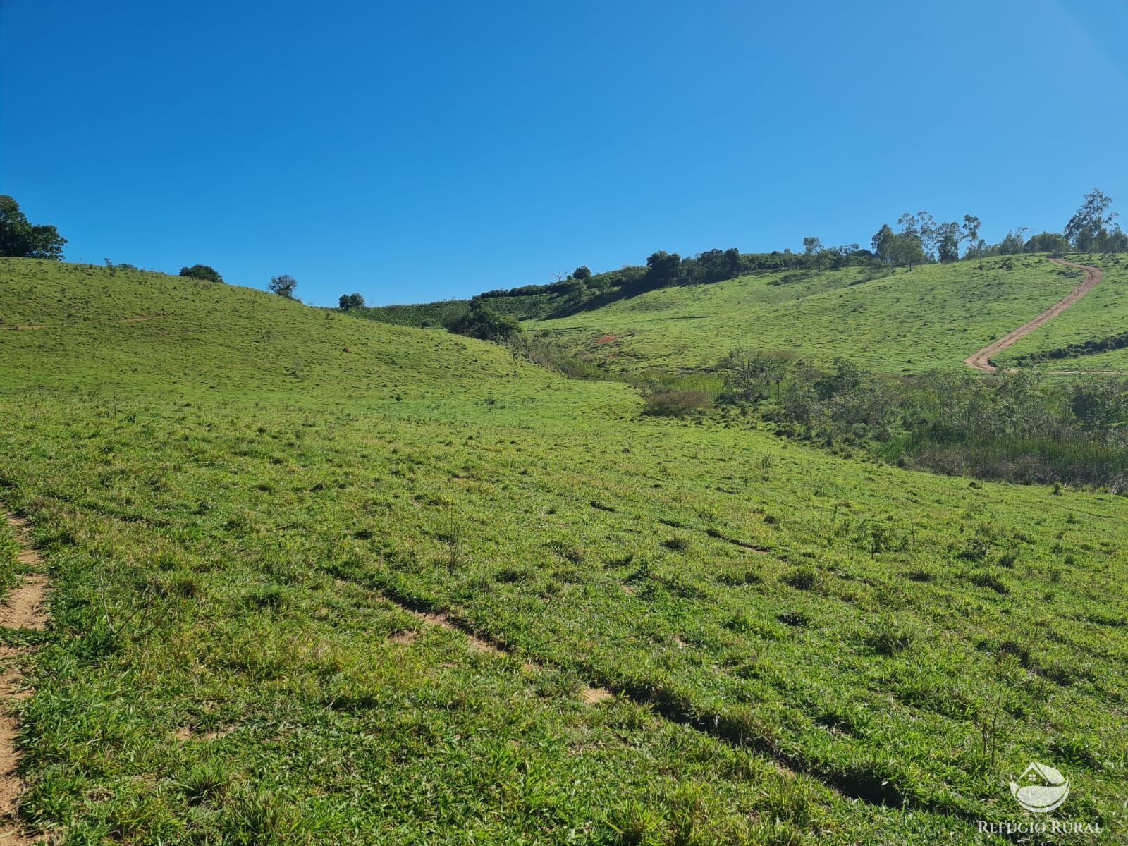 Fazenda, 822 hectares - Foto 17