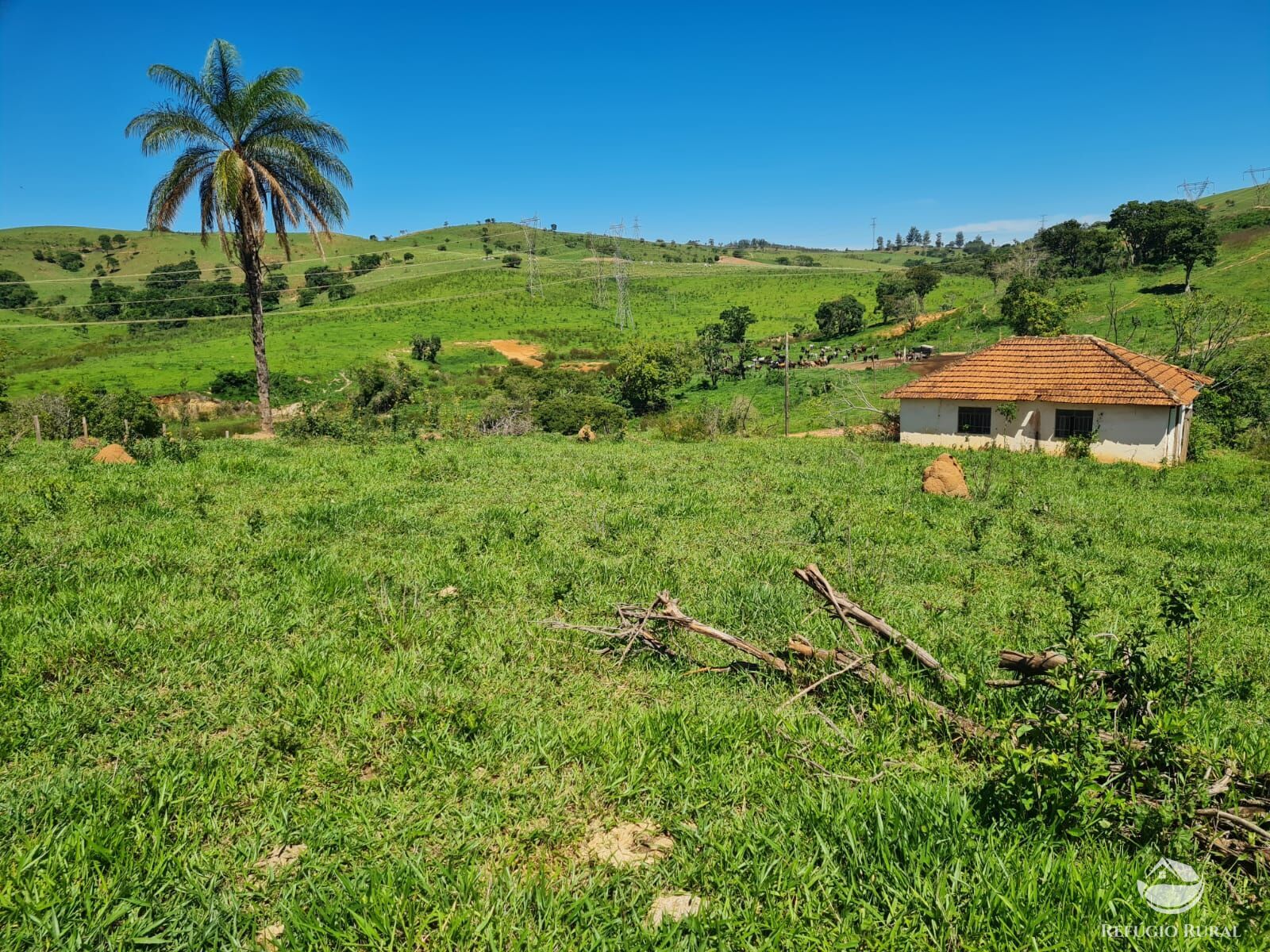 Fazenda, 822 hectares - Foto 32